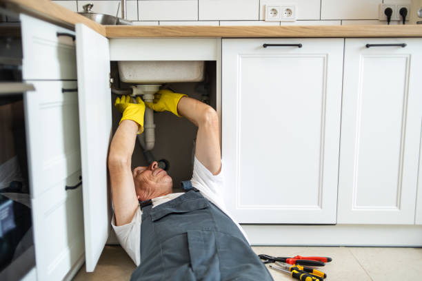 Best Plumbing Inspection Services  in Whitmire, SC