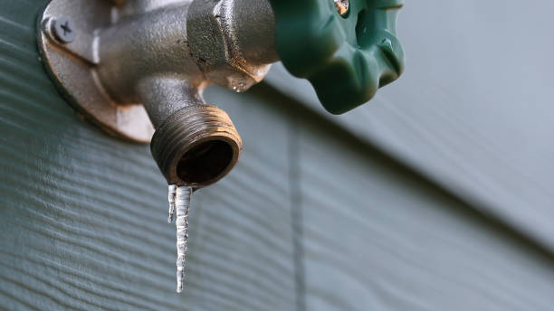 Best Pipe Repair Near Me  in Whitmire, SC