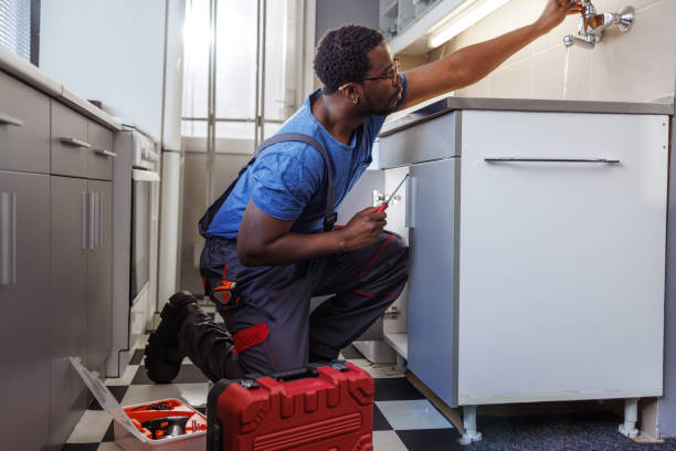 Best Commercial Plumbing Services  in Whitmire, SC
